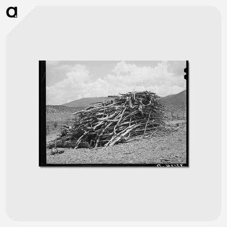 アートポストカード-Wood Supply of a Spanish-American Farmer
 - ラッセル リー Postcard.