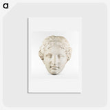 3-15_Saint-Louis-Art-Museum_hagaki