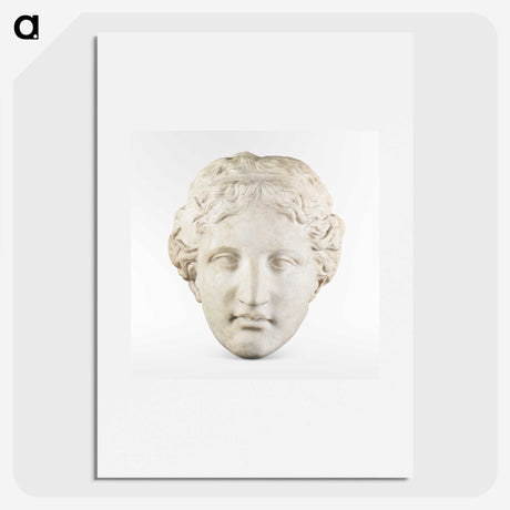 3-15_Saint-Louis-Art-Museum_picture