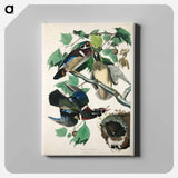 アートパネル-Summer, or Wood Duck from Birds of America
 - アメリカの鳥たち Canvas.
