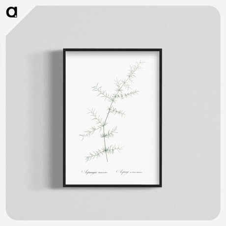 3-15_The-Lilies_blk-crop