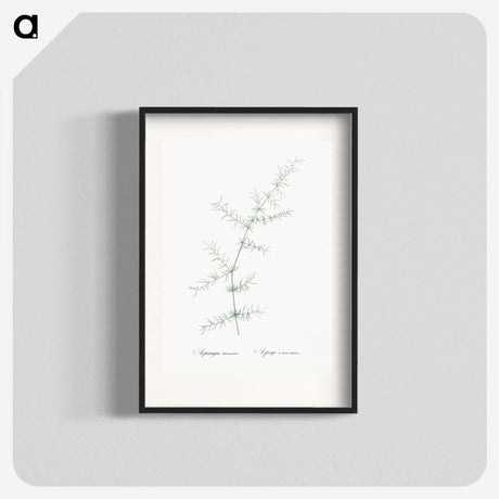 3-15_The-Lilies_blk