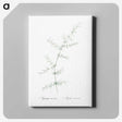 3-15_The-Lilies_canvas