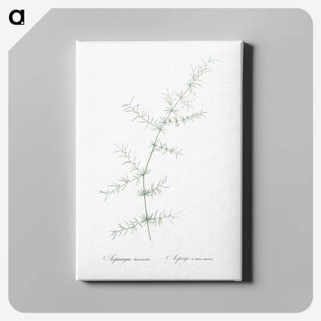 3-15_The-Lilies_canvas