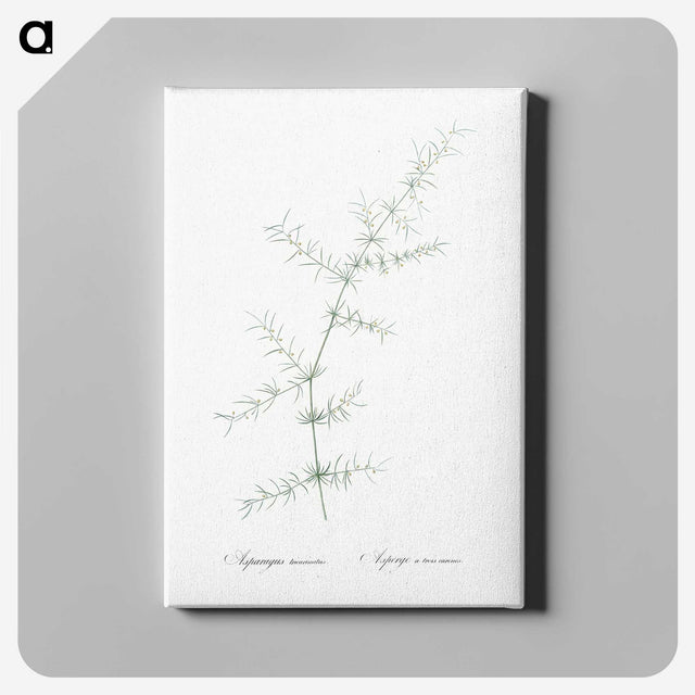 3-15_The-Lilies_canvas