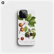 3-15_Treatise-on-Trees-and-Shrubs_phone