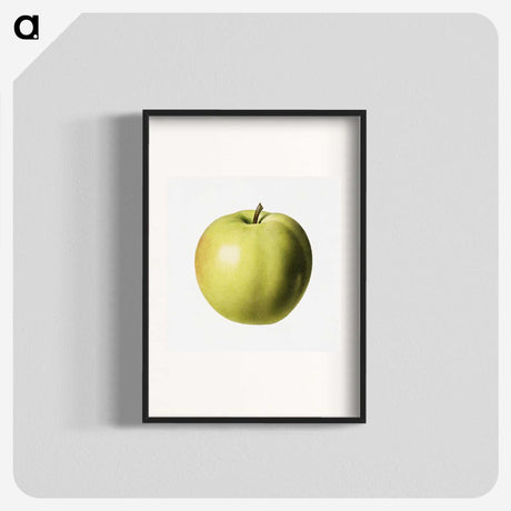 3-15_USDA-Watercolor-Fruit-Painting-Collection_blk