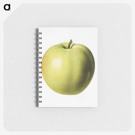 3-15_USDA-Watercolor-Fruit-Painting-Collection_memo