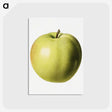 3-15_USDA-Watercolor-Fruit-Painting-Collection_postcard