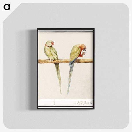 3-16_Anselmus-Boetius-de-Boodt_blk-crop