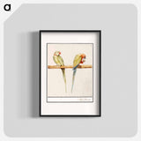 Alexandrine parakeet and red-breasted parakeet - アンセルムス ボエティウス デ ブート Poster.