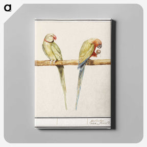 3-16_Anselmus-Boetius-de-Boodt_canvas