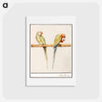 アートポストカード-Alexandrine parakeet and red-breasted parakeet - アンセルムス ボエティウス デ ブート Postcard.