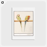 アートポストカード-Alexandrine parakeet and red-breasted parakeet - アンセルムス ボエティウス デ ブート Postcard.