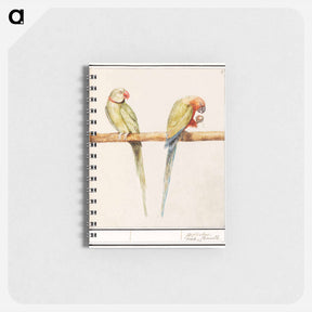 アートメモ帳-Alexandrine parakeet and red-breasted parakeet - アンセルムス ボエティウス デ ブート Memo.