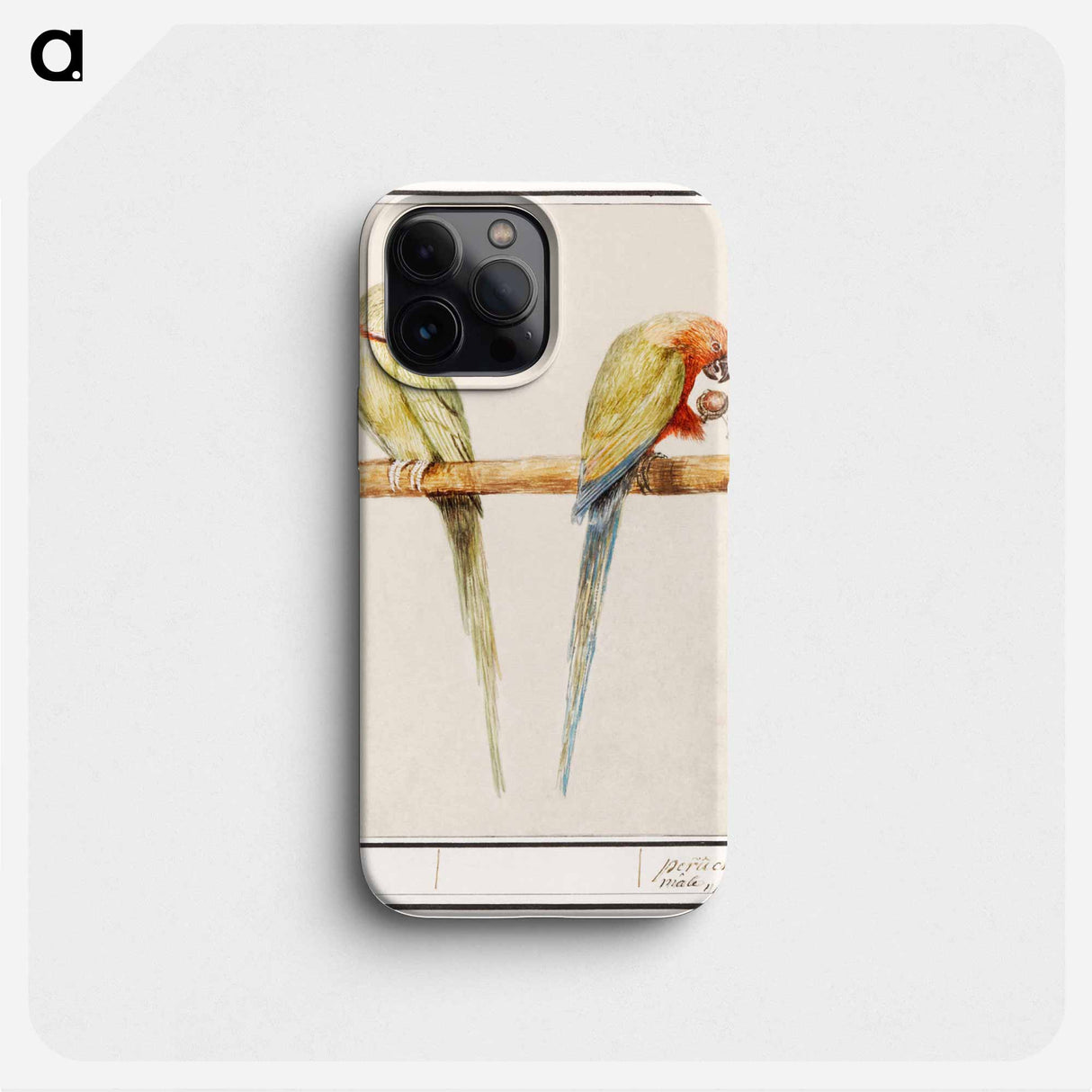 Alexandrine parakeet and red-breasted parakeet - アンセルムス ボエティウス デ ブート Phone Case.