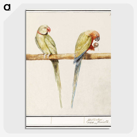 3-16_Anselmus-Boetius-de-Boodt_picture-crop