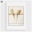 3-16_Anselmus-Boetius-de-Boodt_picture