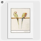 3-16_Anselmus-Boetius-de-Boodt_picture