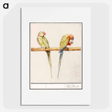 Alexandrine parakeet and red-breasted parakeet - アンセルムス ボエティウス デ ブート Poster.