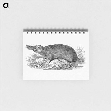 アートメモ帳-Duck-billed Platypus
 - 大英図書館 Memo.