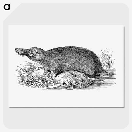 3-16_British-Library_picture-crop