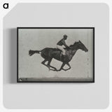 3-16_Eadweard-Muybridge_blk-crop