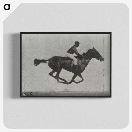 3-16_Eadweard-Muybridge_blk-crop