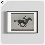 3-16_Eadweard-Muybridge_blk