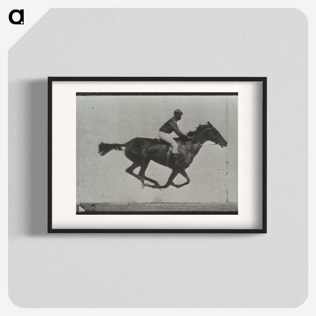 3-16_Eadweard-Muybridge_blk