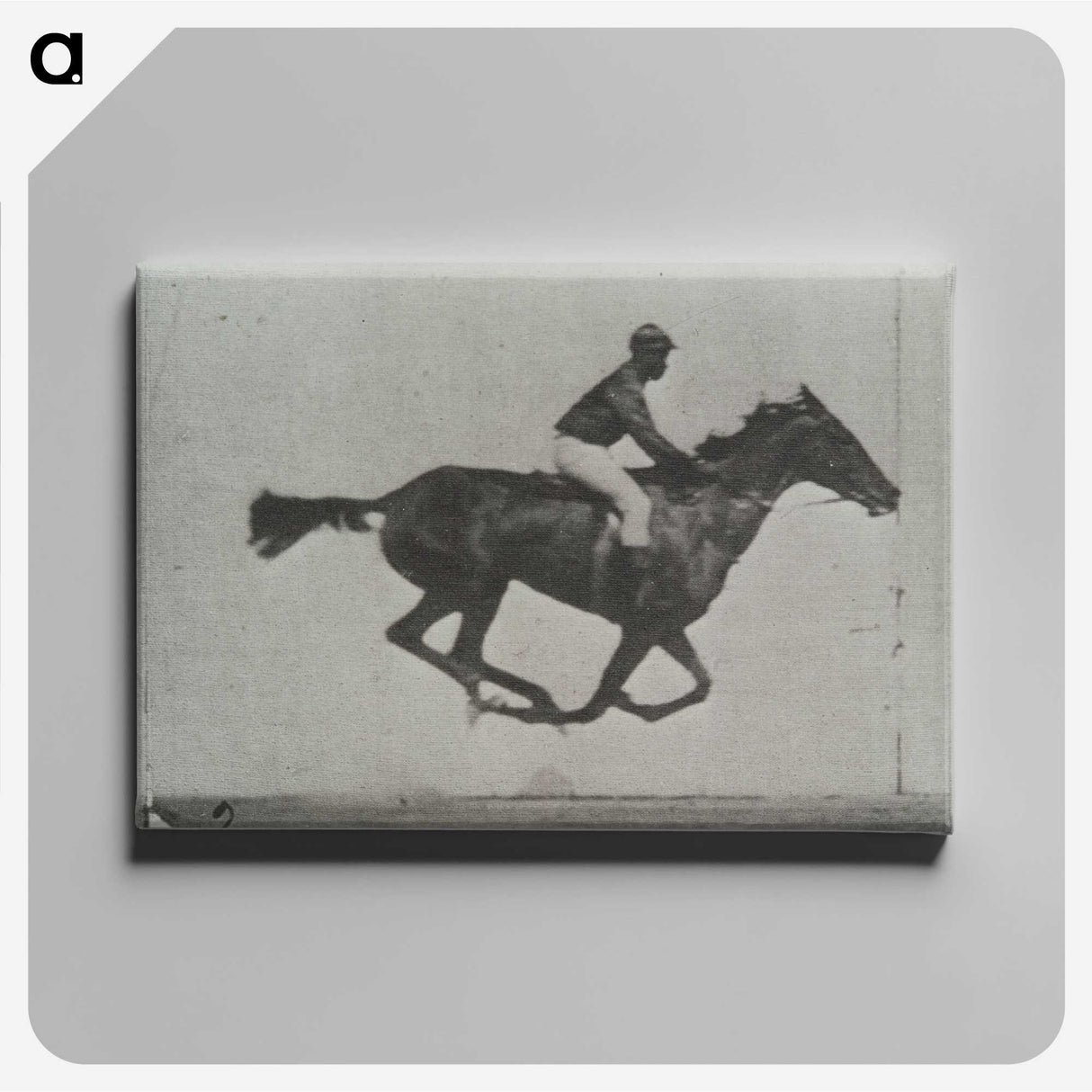 3-16_Eadweard-Muybridge_canvas