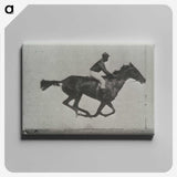3-16_Eadweard-Muybridge_canvas