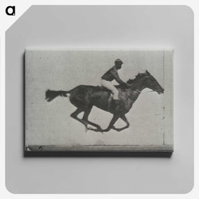 3-16_Eadweard-Muybridge_canvas