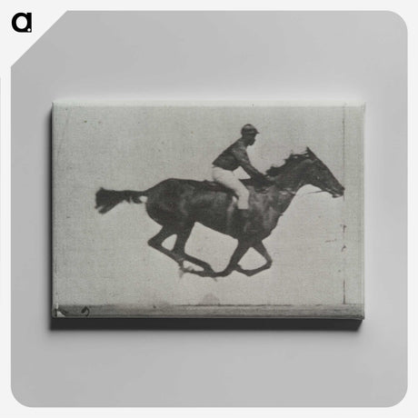 3-16_Eadweard-Muybridge_canvas