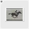 アートポストカード-Galloping Horse and Rider
 - エドワード マイブリッジ Postcard.