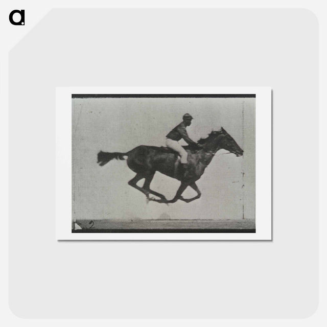 アートポストカード-Galloping Horse and Rider
 - エドワード マイブリッジ Postcard.
