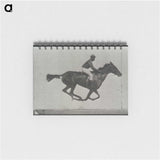 3-16_Eadweard-Muybridge_memo