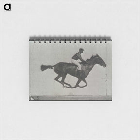 3-16_Eadweard-Muybridge_memo