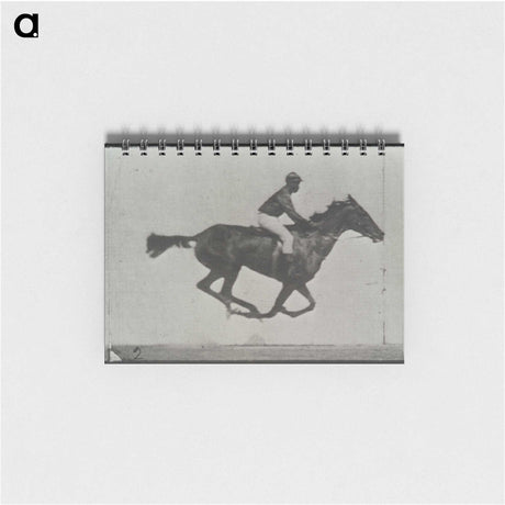 3-16_Eadweard-Muybridge_memo