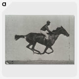 3-16_Eadweard-Muybridge_picture-crop