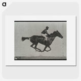 3-16_Eadweard-Muybridge_picture
