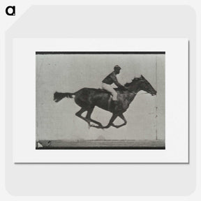 3-16_Eadweard-Muybridge_picture