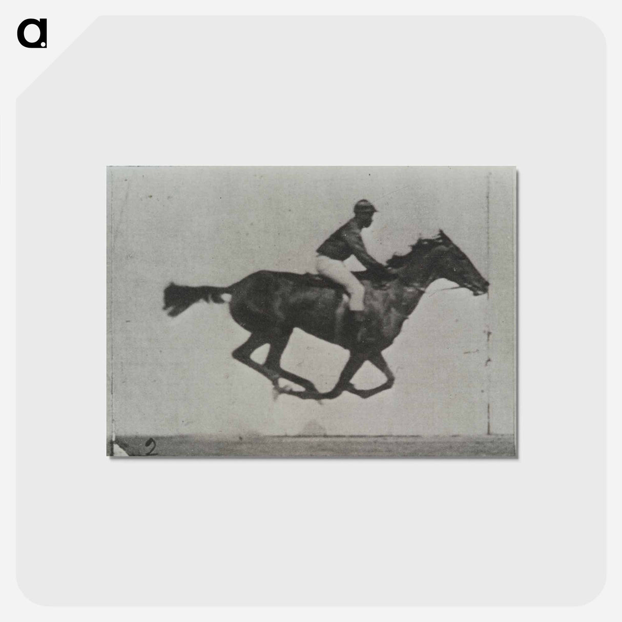 アートポストカード-Galloping Horse and Rider
 - エドワード マイブリッジ Postcard.