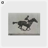 アートポストカード-Galloping Horse and Rider
 - エドワード マイブリッジ Postcard.