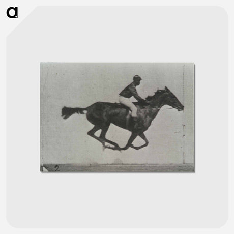 アートポストカード-Galloping Horse and Rider
 - エドワード マイブリッジ Postcard.