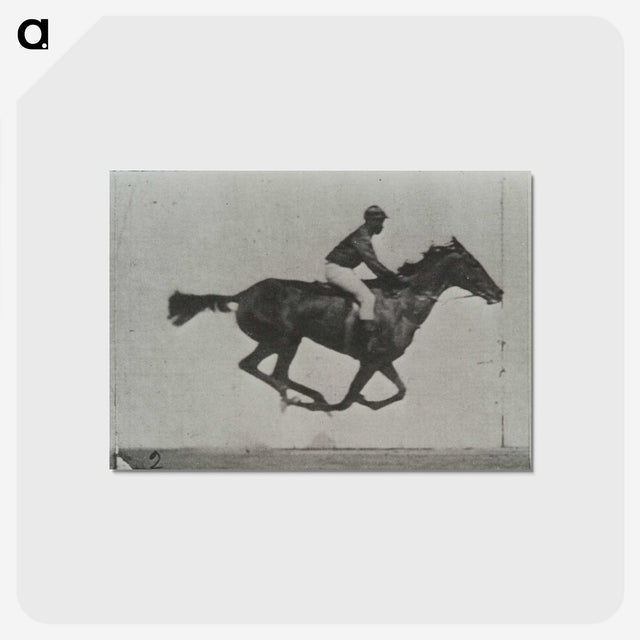 3-16_Eadweard-Muybridge_postcard