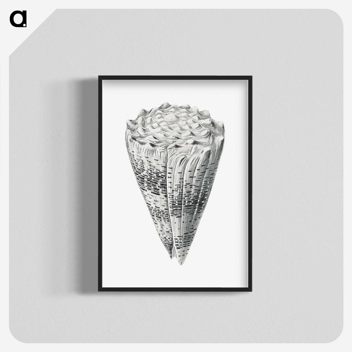 3-16_Ernst-Haeckel_blk-crop