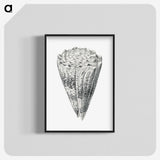3-16_Ernst-Haeckel_blk-crop