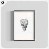 Vintage shell marine life illustration - エルンスト ヘッケル Poster.