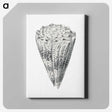 3-16_Ernst-Haeckel_canvas
